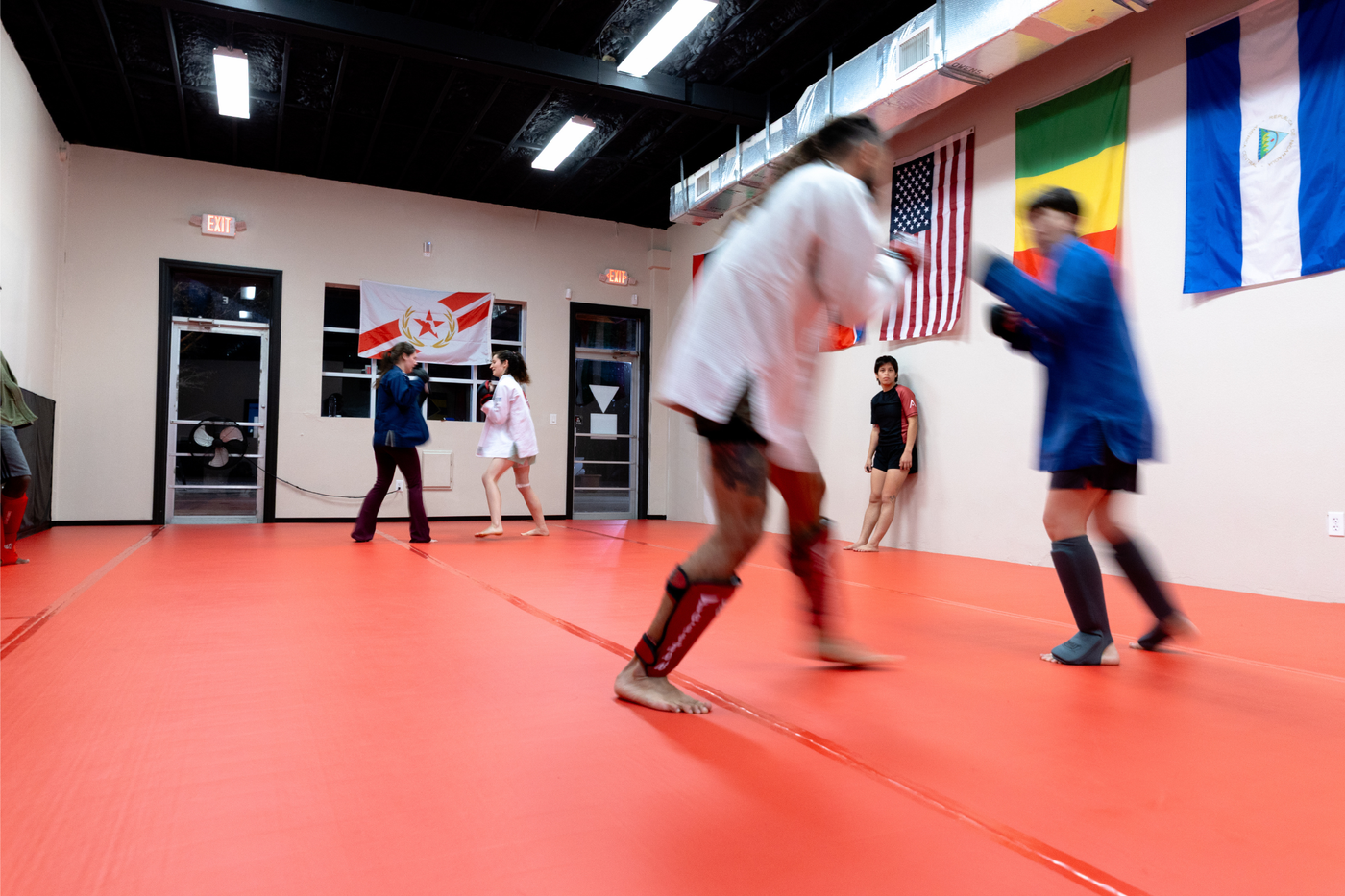 Praxis Submission Fighting