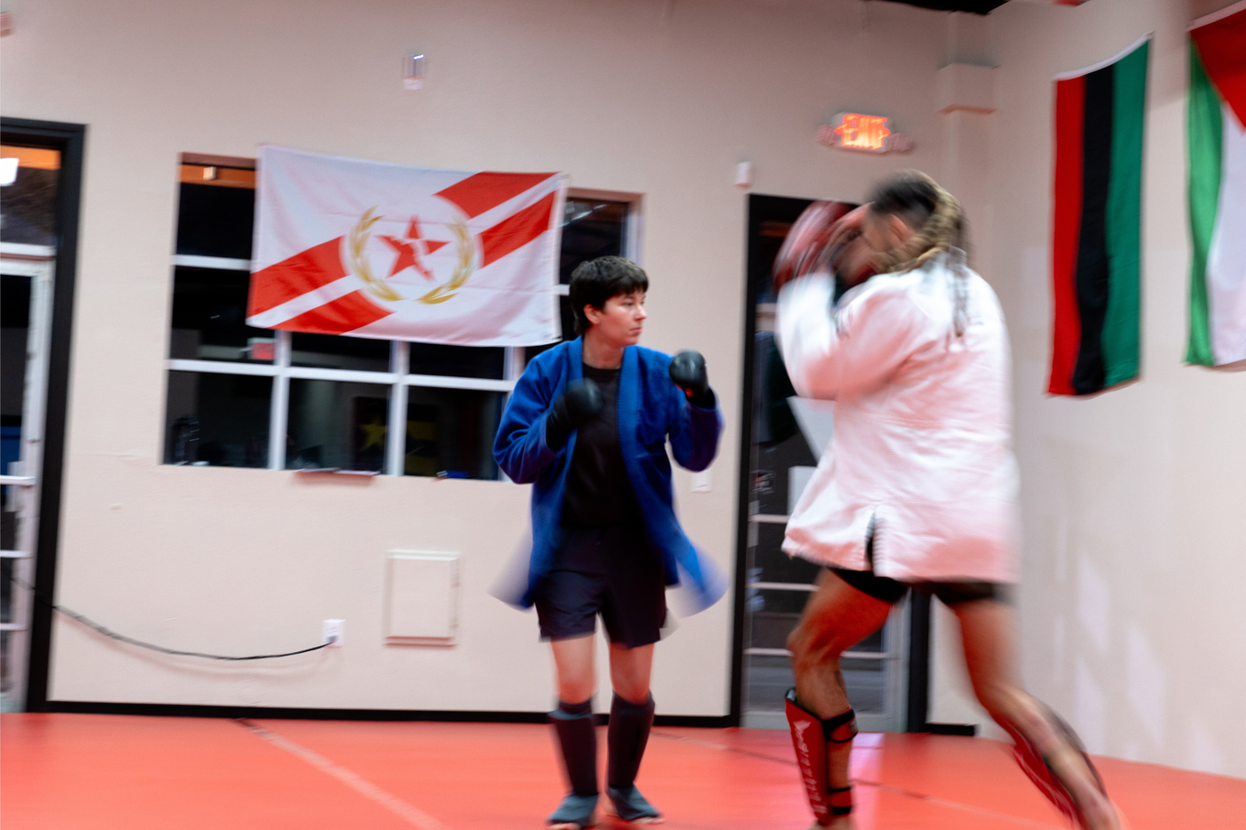 Praxis Submission Fighting