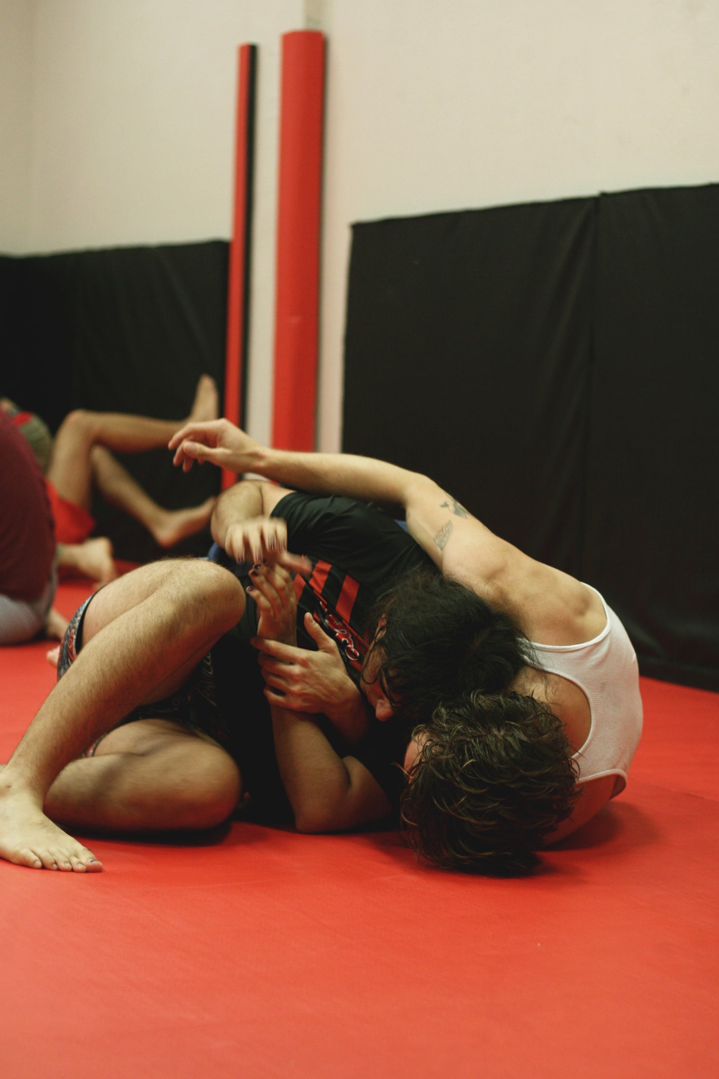 Praxis Submission Fighting